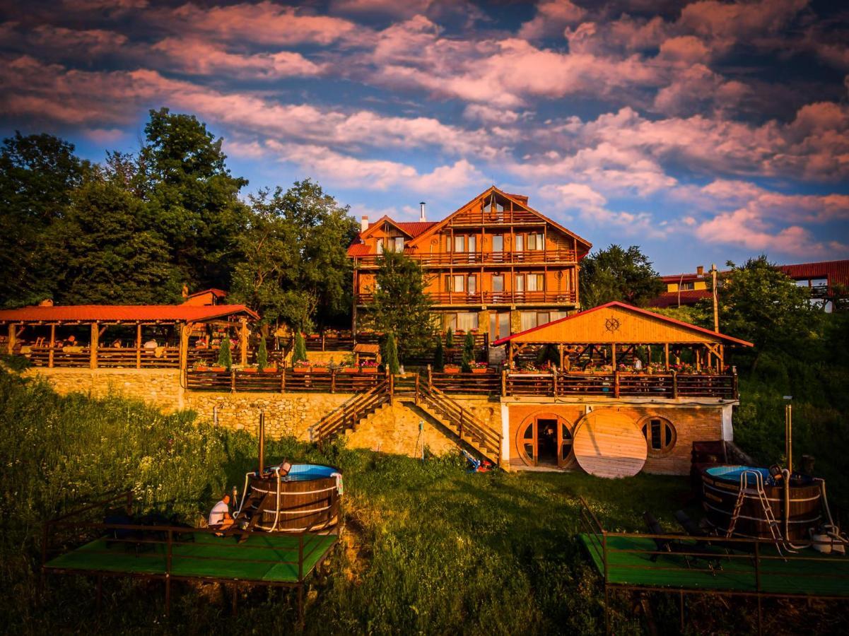 Pensiunea La Maria Lu' Sandoiu Hotel Poenari Luaran gambar