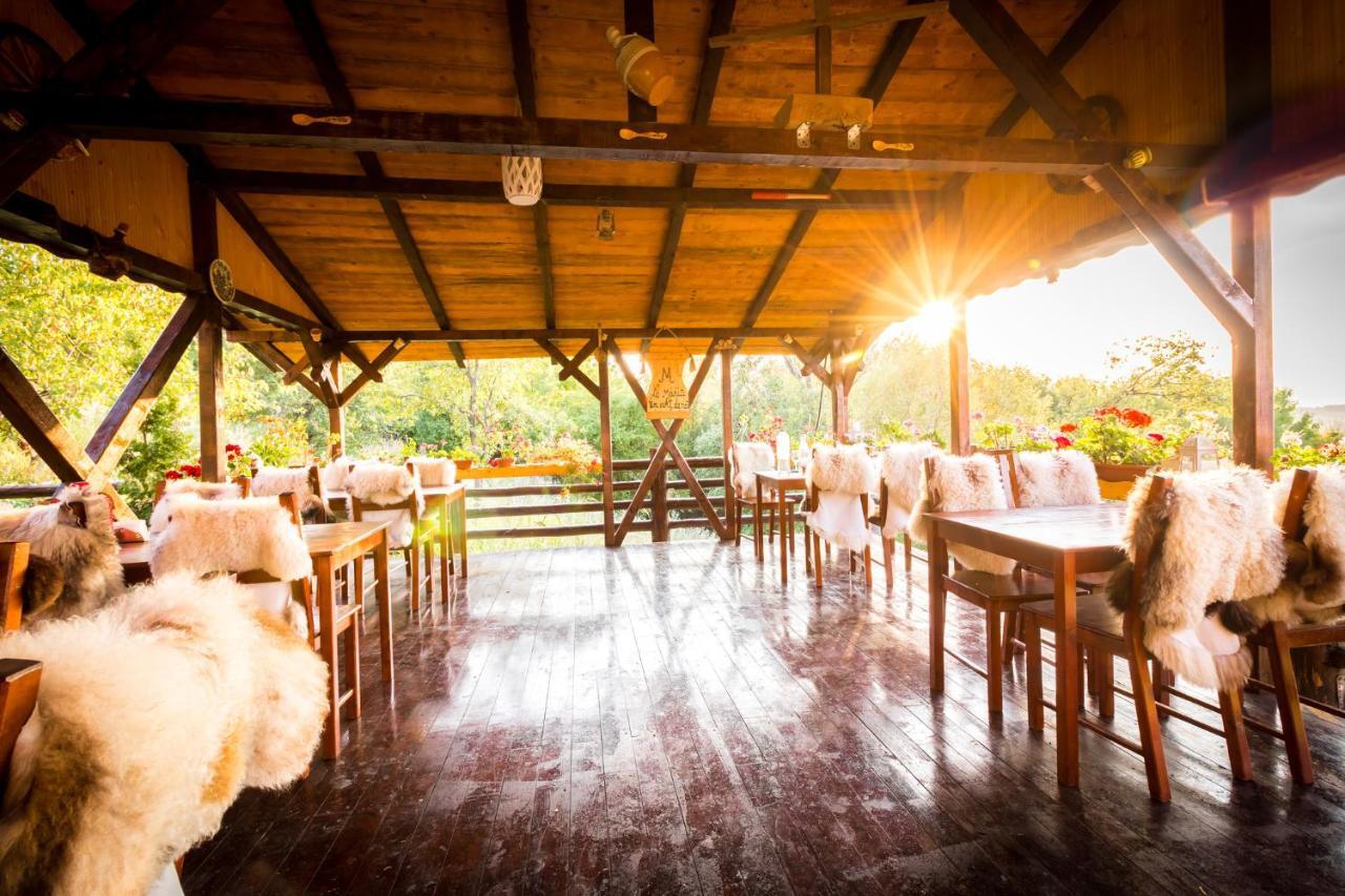 Pensiunea La Maria Lu' Sandoiu Hotel Poenari Luaran gambar